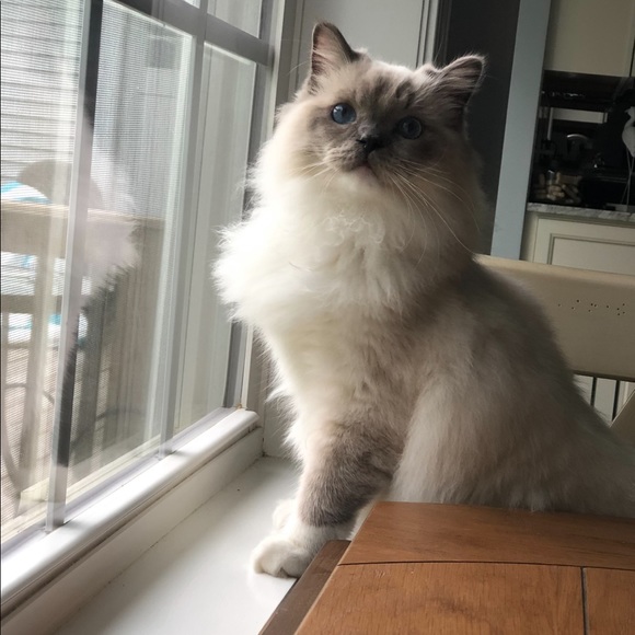 REBRANDING!! - Picture 2 of 13